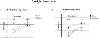 Brain Edema Formation and Functional Outcome After Surgical Decompression in Murine Closed Head Injury Are Modulated by Acetazolamide Administration